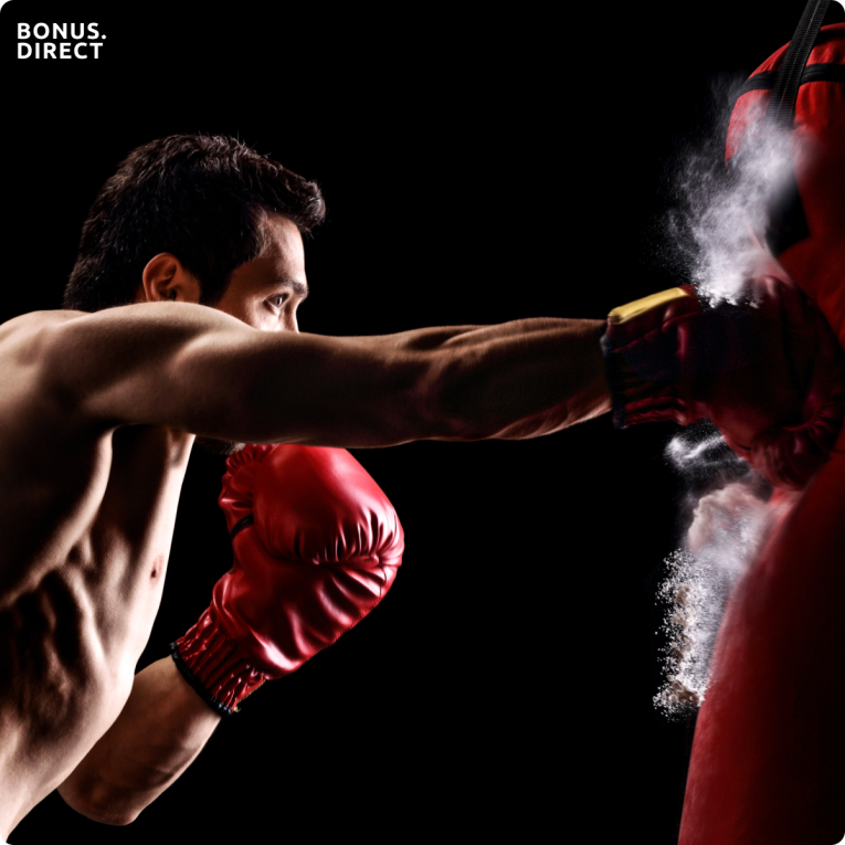 boxer punching bag